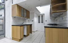 Dinghurst kitchen extension leads